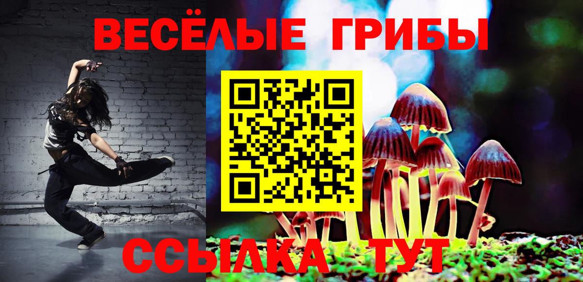 Псилоцибиновые грибы MAGIC MUSHROOMS  Галлюциногенные грибы мухоморы  Вязники  Вход с VPN 