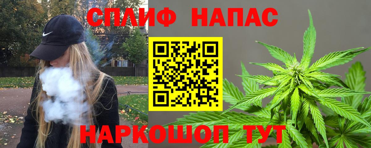 Канабис конопля Вязники